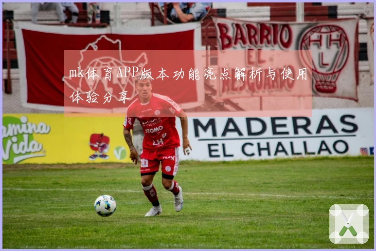 mk体育APP版本功能亮点解析与使用体验分享