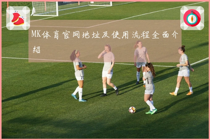 MK体育官网地址及使用流程全面介绍